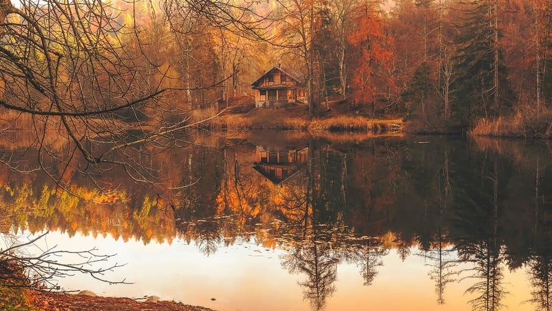 Fairy Tale Cabin
