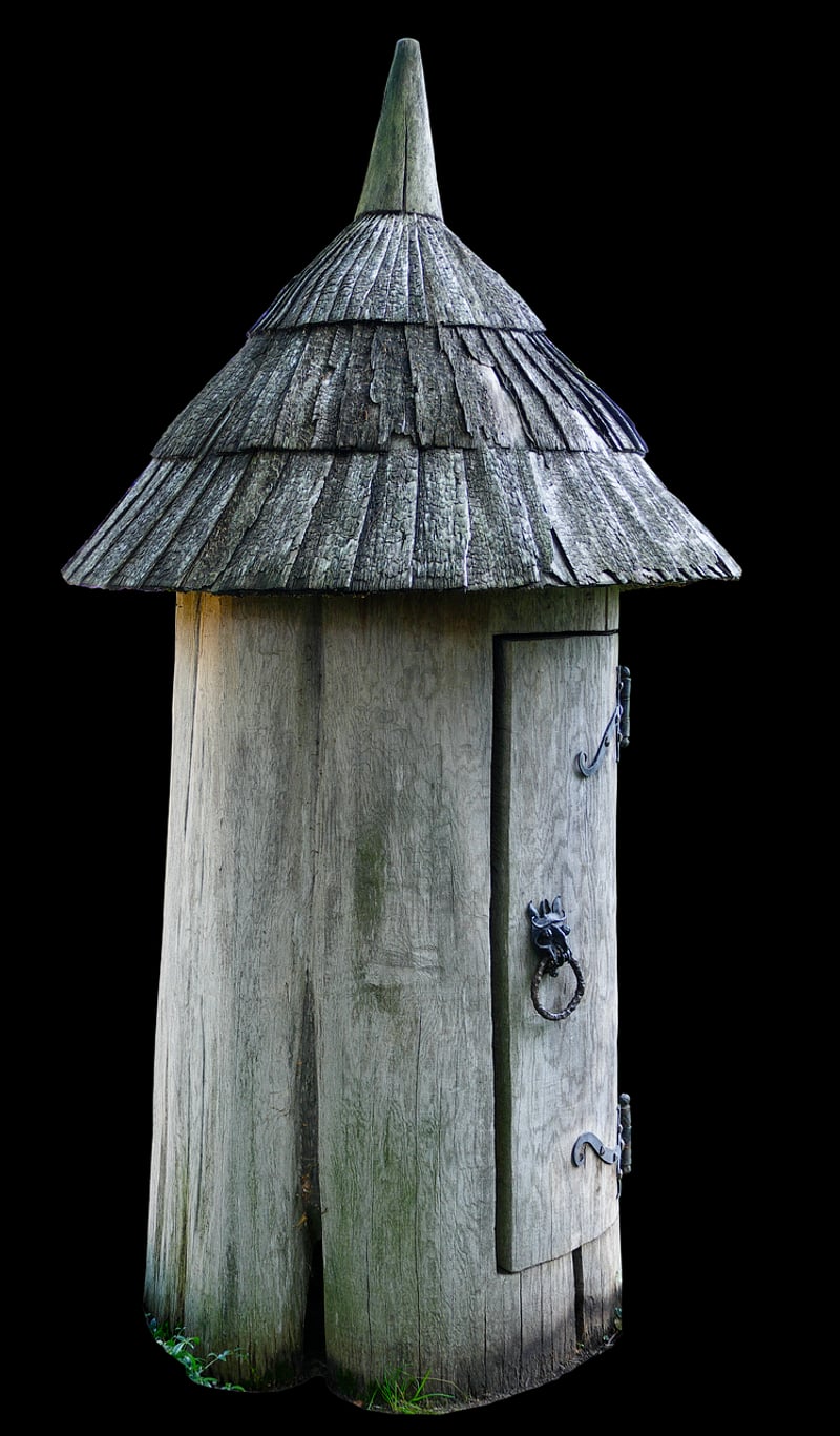 Treehouse in the forest
